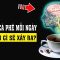 Uống Cafe mỗi ngày – Chuyên gì sẽ xảy ra bên trong cơ thể?
