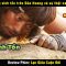 vua sinh tồn là đây – review phim Lạc Giữa Cuộc Đời