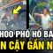 Yanghoo phố hổ báo cậy gần nhà, tài xế nhờ lịch sự nhưng bị QUÁT thẳng mặt | Tô Tin Tức ✔