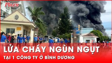 1 công ty ở Bình Dương cháy ngùn ngụt, cột khói cao hàng chục mét | Tin nhanh