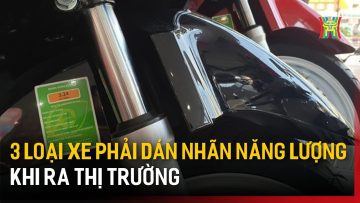 3 loại xe phải dán nhãn năng lượng khi ra thị trường | Tin tức