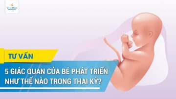 5 giác quan của bé phát triển như thế nào trong thai kỳ?