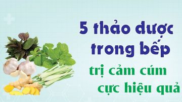 5 thảo dược trong bếp trị cảm cúm cực hiệu quả