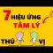 7 Hiệu Ứng Tâm Lý càng Xem càng KHÔN RA!