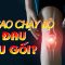 8 Nguyên nhân đau đầu gối sau chạy bộ, bạn cần lưu ý| BS Vũ Tú Nam, BV Vinmec Times City