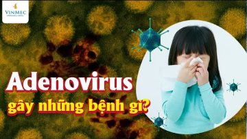 Adenovirus gây những bệnh gì?