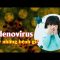 Adenovirus gây những bệnh gì?