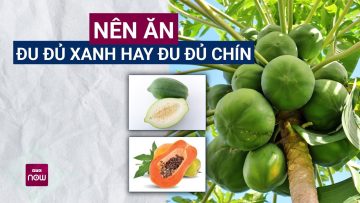 Ăn đu đủ xanh hay đu đủ chín tốt cho sức khỏe hơn? | VTC Now