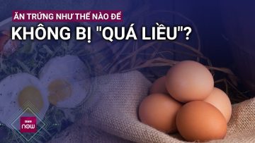 Ăn trứng thế nào để không bị quá liều, tránh nguy cơ cholesterol? | VTC Now