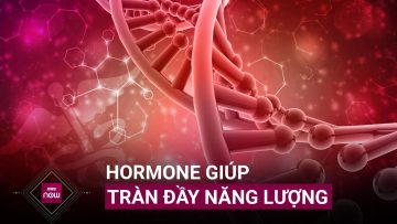 Bạn vui hay buồn, sung mãn hay mệt mỏi, tất cả là nhờ 7 loại hormone này! | VTC Now