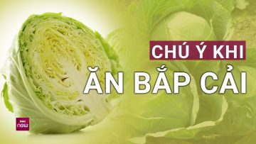 Bắp cải: Loại rau rẻ tiền, nhiều công dụng nhưng một số người vẫn phải thận trọng khi ăn | VTC Now