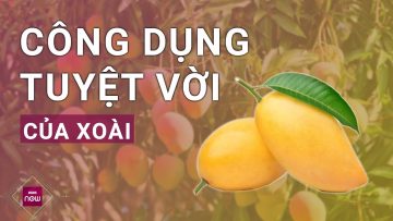 Bất ngờ với công dụng chống ung thư và ngăn ngừa bệnh tim mạch của trái xoài | VTC Now