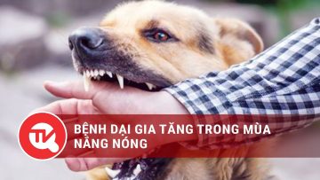 Bệnh dại gia tăng trong mùa nắng nóng | Truyền hình Quốc hội Việt Nam