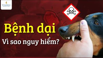 Bệnh dại – Vì sao nguy hiểm?