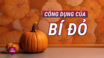 Bí đỏ: Loại quả là khắc tinh của ung thư, lão hóa và vô số các loại bệnh tật? | VTC Now