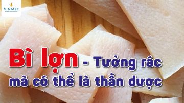 Bì lợn – Tưởng rác mà có thể là thần dược