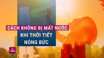 Bí quyết để cơ thể không bị mất nước khi làm việc trong thời tiết nắng nóng gay gắt | VTC Now