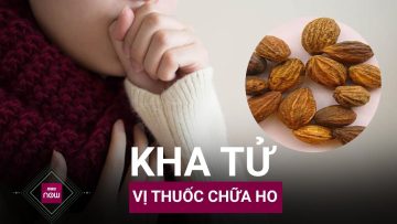 Bí quyết trị ho, viêm họng, giải quyết bệnh đường hô hấp bằng kha tử | VTC Now