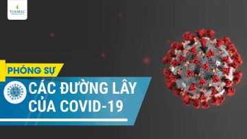 Các đường lây của virus corona chủng mới (SARS-CoV 2)