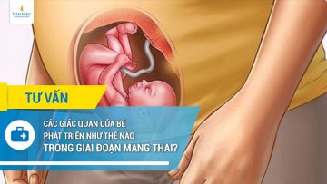 Các giác quan của bé phát triển như thế nào trong giai đoạn mang thai?