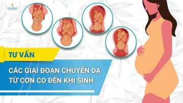 Các giai đoạn chuyển dạ từ cơn co đến khi sinh