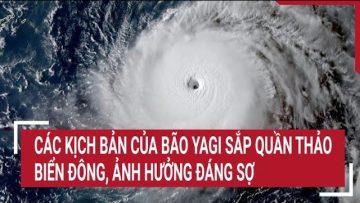 Các kịch bản của bão Yagi sắp quần thảo Biển Đông, ảnh hưởng đáng sợ
