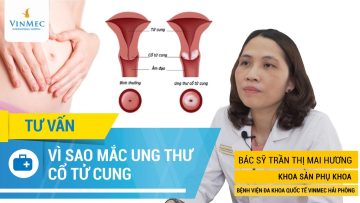 Các nguyên nhân gây ung thư cổ tử cung