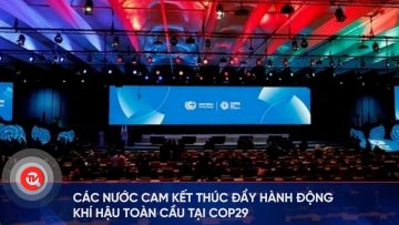 Các nước cam kết thúc đẩy hành động khí hậu toàn cầu tại COP29 | Truyền hình Quốc hội Việt Nam