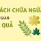 Cách chữa ngứa bằng các loại lá dân gian