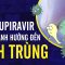 Cách sử dụng thuốc Molnupiravir điều trị COVID-19