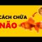 Cách Tăng Trí Nhớ cho NÃO của bạn!