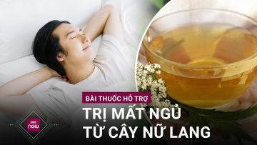 Cây nữ lang (kim ngân) mọc dại đầy ngoài đường nhưng lại là loại thảo dược đặc trị mất ngủ hiệu quả