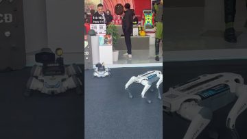 Chó robot tại gian trưng bày của Bộ Công an thu hút khách tham quan