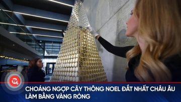 Choáng ngợp cây thông Noel đắt nhất Châu Âu làm bằng vàng ròng | Truyền hình Quốc hội Việt Nam