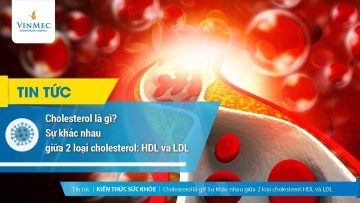 Cholesterol là gì? Sự khác nhau giữa 2 loại cholesterol: HDL và LDL