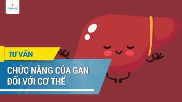 Chức năng của gan đối với cơ thể