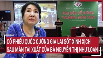 Cổ phiếu Quốc Cường Gia Lai sốt xình xịch sau màn tái xuất của bà Nguyễn Thị Như Loan