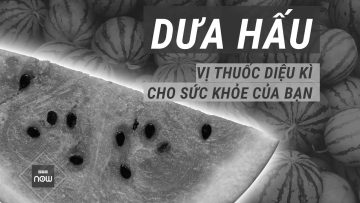 Có thể bạn chưa biết: Dưa hấu là vị thuốc diệu kì cho sức khỏe | VTC Now