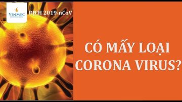 Corona trong tiếng Anh có nghĩa là gì? Có mấy loại corona virus?