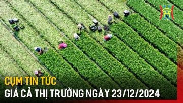 Cụm tin tức giá cả thị trường ngày 23/12/2024 | Tin tức