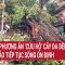 Đã có phương án ‘cứu hộ’ cây đa đền Bà Kiệu, đảm bảo tiếp tục sống ổn định