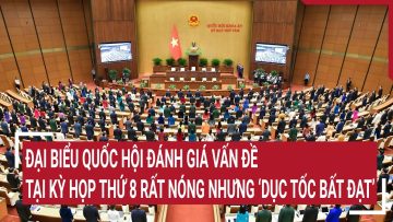 Đại biểu Quốc hội đánh giá vấn đề tại Kỳ họp thứ 8 rất nóng nhưng dục tốc bất đạt