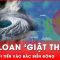 Đài Loan (Trung Quốc) giật mình thon thót khi bão Usagi tiến vào Bắc Biển Đông | Tin nhanh