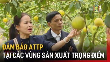 Đảm bảo ATTP tại các vùng sản xuất trọng điểm | Tin tức