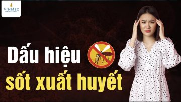 Dấu hiệu sốt xuất huyết