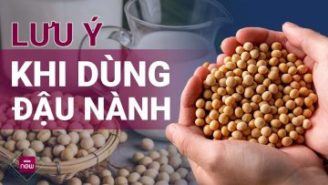 Đậu nành rất tốt nhưng nếu sử dụng không phù hợp chắc chắn sẽ… rất tiếc! | VTC Now