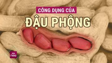 Đậu phộng: Hạt lạc nhỏ bé nhưng công dụng cực lớn cho sức khỏe của bạn | VTC Now