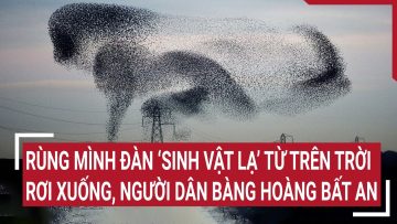 Điểm nóng: Rùng mình đàn ‘sinh vật lạ’ từ trên trời rơi xuống, người dân bàng hoàng bất an
