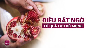 Điều bất ngờ từ quả lựu đỏ mọng: Tiêu diệt tế bào ung thư