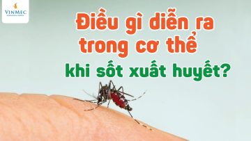 Điều gì diễn ra trong cơ thể khi sốt xuất huyết?